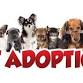 ADOPTION EVENT AT RURAL KING VAN WERT event image
