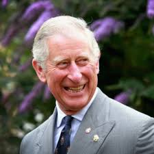 Prince Harry's moving speech about his dad gets interrupted by a bee