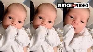 Terri Irwin introduces granddaughter Grace to Australia Zoo animals, photo 