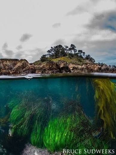 2023 Get Into Your Sanctuary - Sanctuary Views Photos | Office of National  Marine Sanctuaries