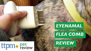 Destroy fleas instantly as you comb your pet. Electronic Flea Comb From Eyenimal Youtube