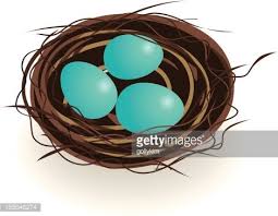 Cartoon Bird Nest With Blue Eggs Vector Art Getty Images Cartoon Birds Blue Eggs American Robin 2,363 robin bird cartoons on gograph. cartoon bird nest with blue eggs vector