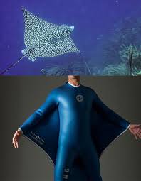Designer Guillaume Binard In Cooperation With Aqua Lung Created Oceanwings Biomimesis Biomimetica Bi Conceitos De Design Moda Camuflagem Ideias Incriveis