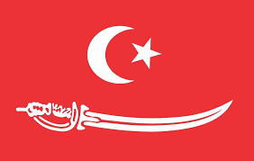 flags panosundaki pin