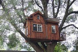 The treehouse has an open deck, reached by fixed stairs, a fixed ladder or a rope ladder. Treehouse Building The Basics