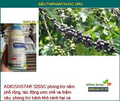 Adiconstar 325SC.