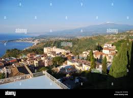 Image result for Isoglossa vulcanicola