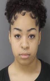 DAILY INCIDENT REPORT