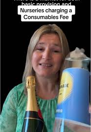 Understanding Consumables Charges in Nursery Funding