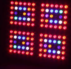 How are led lights used to grow plants? Diamond Series 100 1600w Full Specyrum Led Grow Lights For Greenhouse At Best Price In Shenzhen Guangdong Shenzhen Herifi Technology Co Ltd