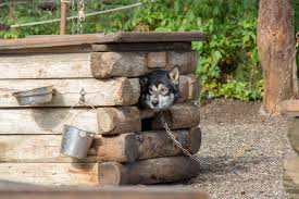 Maybe you would like to learn more about one of these? Update Ein Besuch In Northpole Und Der Denali National Park Alaska Teil 2 Food Reiseblog Princess Ch