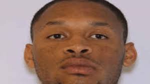 Estill police looking for car break-in suspect