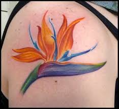 Symbolism Bird Of Paradise Flower Meaning Ideas For Bird Of Paradise Flower Tattoos Bird Of Paradise Tattoo Paradise Tattoo Flower Tattoos