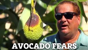 So here we are. FAFO. Trump administration: Lowering prices it's hard.  Maybe I can't do that. Lie~ day one prices will go down. Eggs average  $12.99 if you can find them. ~gas