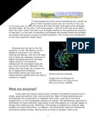 Whatever you need, whatever you want, whatever you desire, we provide. Enzymes Compilation For Health And Cancer Cures Human Digestive System Digestion