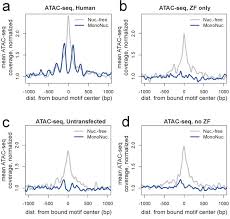 Authorized and registered company build since 2004. A Map Of Human Prdm9 Binding Provides Evidence For Novel Behaviors Of Prdm9 And Other Zinc Finger Proteins In Meiosis Abstract Europe Pmc