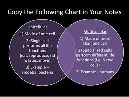 Unicellular Multicellular Science Cells Science Education Science Biology