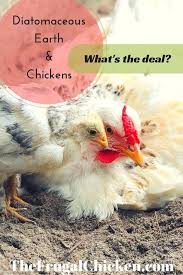 Diatomaceous Earth Chickens What S The Deal Pampered Chicken Mama Raising Backyard Chickens Chickens Diatomaceous Earth Raising Backyard Chickens