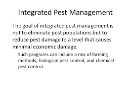 Integrated pest management (ipm) with biocontrol equips the south african farmer with the knowledge, experience, and quality products to get the most out of every crop. Ppt Video Online Download