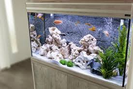View the best aquarium decorations deals on the market! 6 Steps To Safely Moving A Fish Tank Moving Com