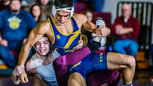 Division 2 Wrestling Team Districts