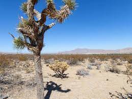The governor's advocate for the art of poetry. 5 Acres Of California High Desert Farm For Sale By Owner In Lucerne Valley San Bernardino County California 175773 Farmflip
