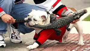 Funny Georgia Bulldogs Florida Gators The Pessimist S Guide To The Georgia Bulldogs 2011 Football S Georgia Bulldogs Football Georgia Bulldogs Georgia Dawgs