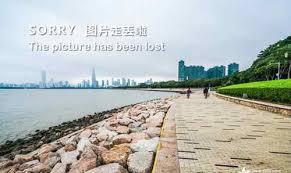 Check spelling or type a new query. é»„å­ä½¼å'äº¤å¾€5å¹´çš„å¥³å‹å­Ÿè€¿å¦‚æ±‚å©šæˆåŠŸé€éœ²å©šæœŸåœ¨2020å¹´å‰å®Œå©š