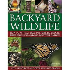 Check spelling or type a new query. Backyard Wildlife How To Attract Bees Butterflies Insects Birds Frogs And Animals Into Your Garden Fruugo Lu