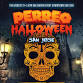 PERREO HALLOWEEN event in San Jose, CA