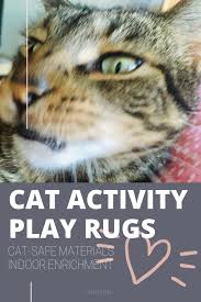 The most common is when the cat scratches the sides of the sofa by using it as a scratch post, and removing fibers from the leather. Best Puzzle Rug For Cats Product Reviews And How To Buy