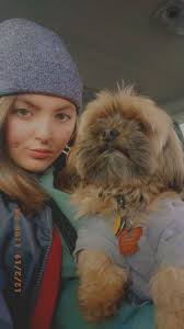 Bailey went missing from the lake country area by Bella bistro and the cop  shop hes been missing since around 8:45. he's a Yorke poodle cross and is  missing an eye if