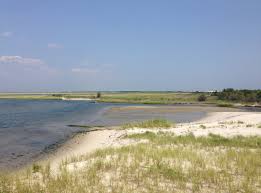 Island Beach State Park Wikipedia