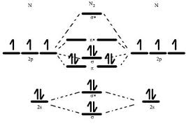 Nitrogen Wikipedia