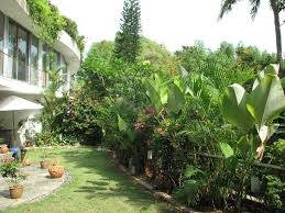 Small Tropical Theme Home Garden Design Tropical Landscape Design Small Tropical Gardens Tropical Landscaping