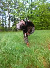 Photos: The Joys of Introducing Kids to Turkey Hunting