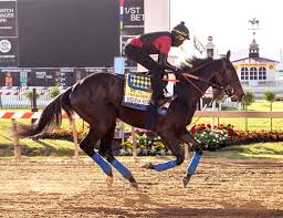 Swiss skydiver became only the sixth filly in history to win the preakness stakes last year, finishing ahead of 2020 kentucky derby winner authentic. 1ko Hfawtxa3m