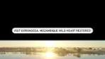 Discover Gorongosa: Mozambique’s Wild Heart Restored ...