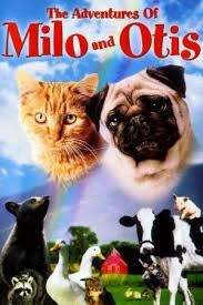 The survey was launched in 2017 and now contains thousands of dog names from around the world. Best Movies Like Homeward Bound The Incredible Journey Bestsimilar