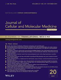 The association between fat mass and obesity‐associated (FTO) genotype and  serum vitamin D level in breast cancer patients