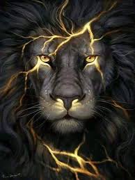 5d Diamond Painting By Number Full Round Diy Mosaic Cross Stitch Handmade Kits Embroidery Painting 1 Lion Art Lion Wallpaper Lion Pictures