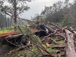 Major travel destination closes all state parks indefinitely after ‘unreal’ storm damage