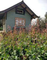 Maybe you would like to learn more about one of these? Native Plants For Southern California Pollinators Finegardening
