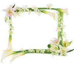 صور براويز خضراء اطارات خضراء مفرغة للكتابة صور بطاقات اخضر funny photo frames free picture frames photo frame images