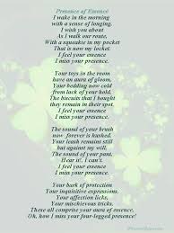 Pet Loss Sympathy And Poetry Cards Hunde Gedichte Regenbogenbrucke Weisheiten Liebe