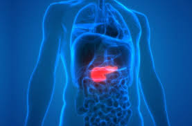 Pancreatic cancer is the fifth most common cause of death from cancer in the united kingdom, and the third most common in the united states. Pancreatic Cancer It S On The Rise But There S Reason To Be Hopeful Cleveland Clinic