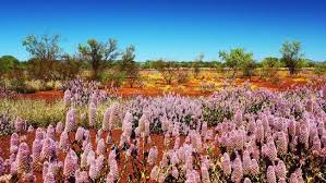 We did not find results for: Jadwal Berwisata Alam Di Australia Barat