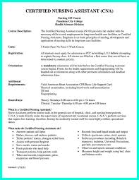 Pin On Resume Sample Template And Format