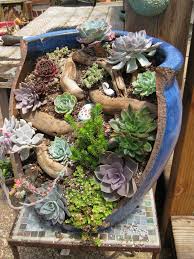 Pin Von Moni Voland Auf Garten Deko Garten Deko Sukkulenten Diy Sukkulenten