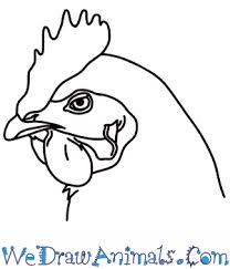 Creative software comes included, along with the ability to connect to your mac or pc, as well as certain android devices. How To Draw A Chicken Head